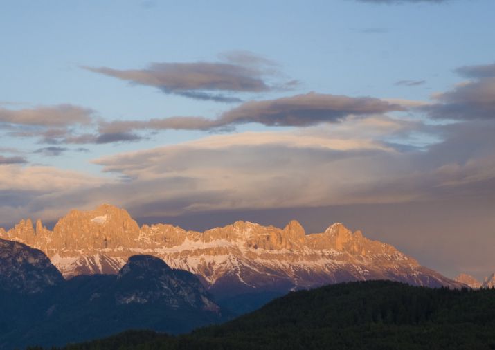 Der Rosengarten im Abendsonnenlicht.