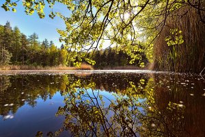 Viel Ruhe strahlt dieser Natursee aus