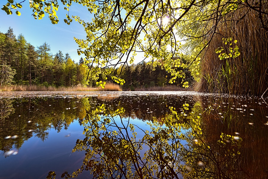 Viel Ruhe strahlt dieser Natursee aus