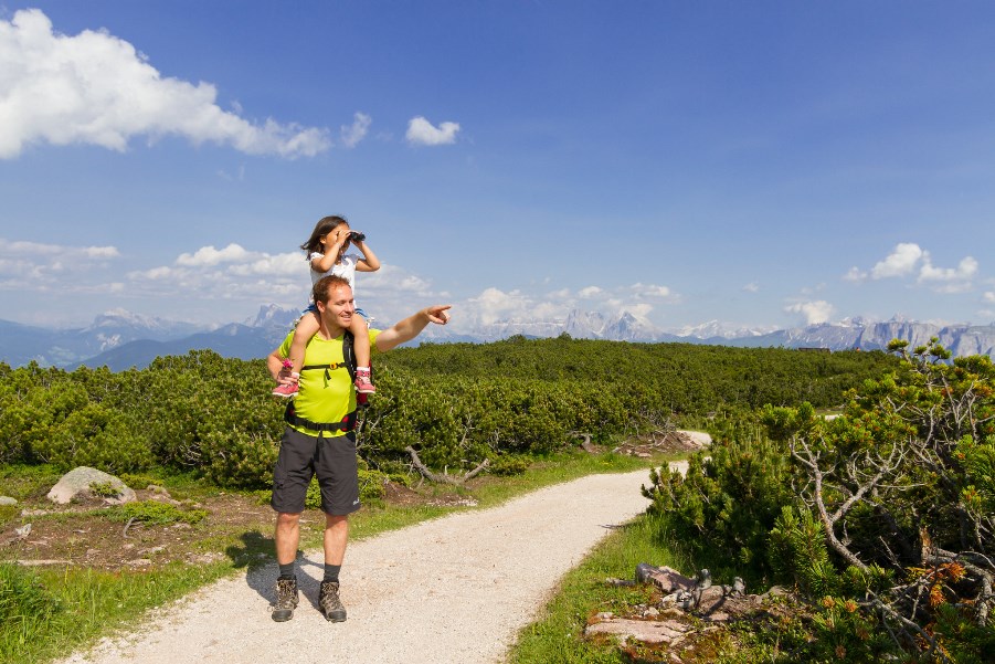 Sommer, Sonne, Sonnenschein. 