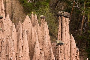 Imposante Erscheinung