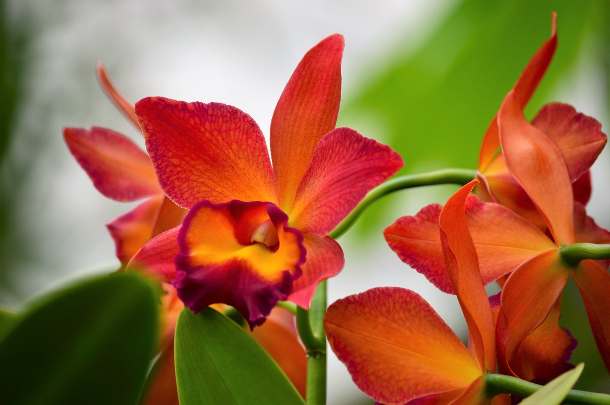 Südtirol bietet viele Ausflugsziele für die ganze Familie.