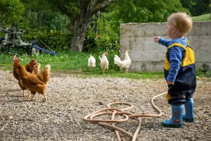 Auf Entdeckungstour: Bauernhofleben und Natur hautnah