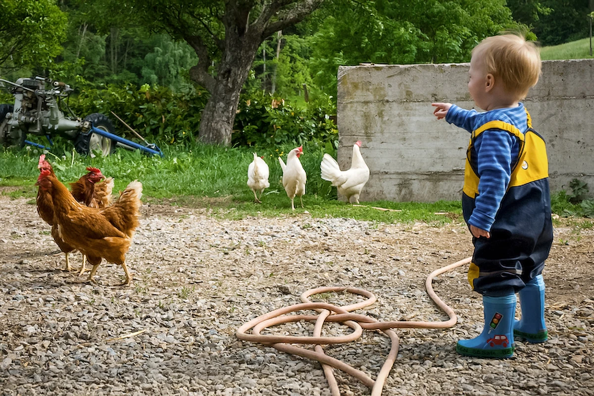 Auf Entdeckungstour: Bauernhofleben und Natur hautnah